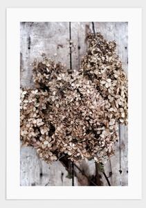 Dried flowers poster - 21x30