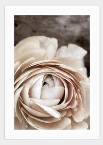 Cream white flower poster - 30x40