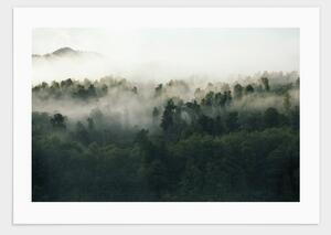 Foggy woods poster - 30x40