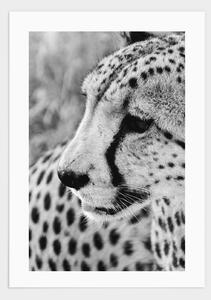 Gepard portrait poster - 21x30
