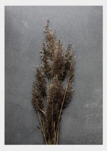 Simplicity grey poster - 21x30