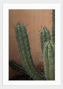 Cactus in spain poster - 21x30