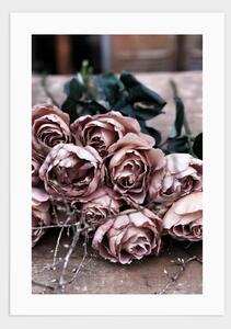 Pink roses poster - 21x30