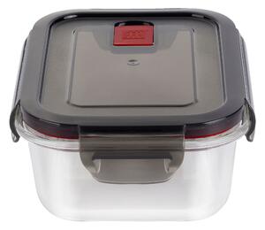 ZWILLING Gusto 600 ml, Förvaringsbox, Transparent