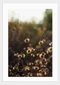 Sunset flowers poster - 30x40