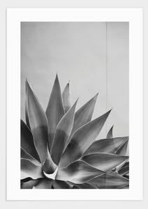 Plant Marbella poster - 21x30