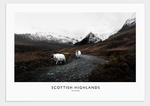 Scottish highlands 2 poster - 50x70