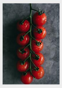 Tomatoes poster - 21x30