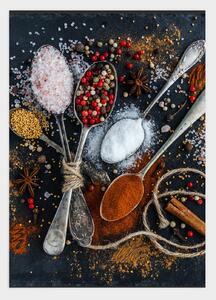 Spices poster - 30x40