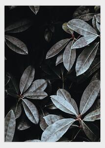 Leaves poster - 21x30