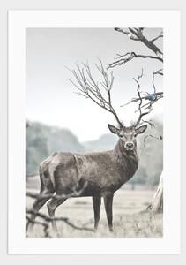 Deer poster - 21x30