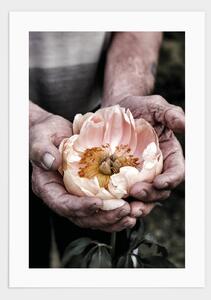 Holding a flower poster - 21x30