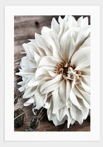 Big white flower poster - 21x30