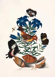 The Dybdahl Co - YELLOW BIRD, BUTTERFLIES & BLUE FLOWER - Affisch - YELLOW BIRD, BUTTERFLIES & BLUE FLOWER - 50 x 70 cm