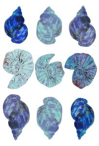Illustration Blue Sea Shells, Poster cartissi