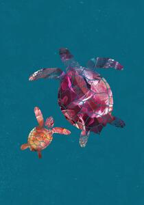 Illustration Colourful Turtles, Sarah Manovski