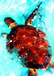 Illustration Tortoise animal art, Justyna Jaszke