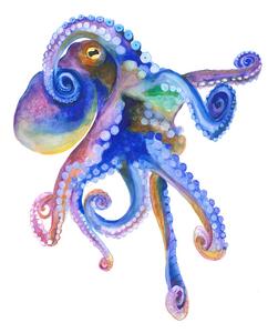 Illustration Blue Marine Octopuss, Isabelle Brent