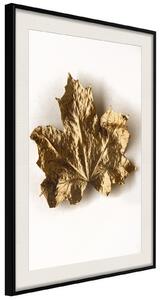 Inramad Poster / Tavla - Dried Maple Leaf - 30x45 Svart ram