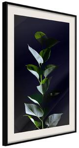 Inramad Poster / Tavla - Floral Elegance - 20x30 Guldram
