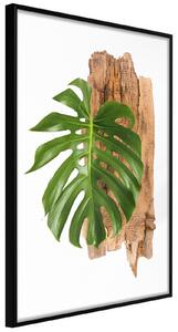 Inramad Poster / Tavla - Leafy Etude - 30x45 Guldram