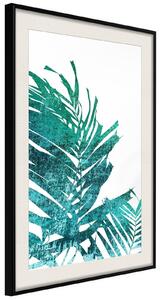 Inramad Poster / Tavla - Teal Palm on White Background - 30x45 Svart ram med passepartout
