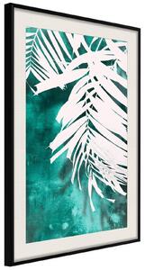 Inramad Poster / Tavla - White Palm on Teal Background - 20x30 Svart ram med passepartout