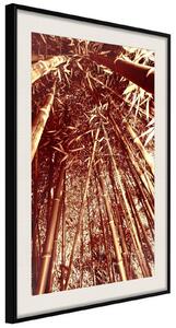 Inramad Poster / Tavla - Asian Forest - 30x45 Guldram med passepartout