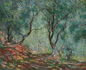 Monet, Claude - Bildreproduktion Olive Trees in the Moreno Garden, 1884, (40 x 35 cm)