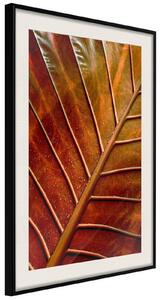 Inramad Poster / Tavla - Bronze Leaf - 30x45 Guldram med passepartout