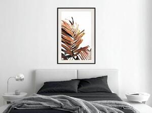 Inramad Poster / Tavla - Copper Palm - 30x45 Guldram med passepartout