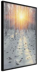 Inramad Poster / Tavla - Frosty Sunset - 30x45 Svart ram med passepartout