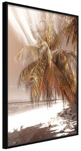 Inramad Poster / Tavla - Paradise in Sepia - 30x45 Guldram
