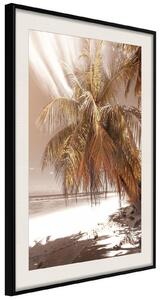 Inramad Poster / Tavla - Paradise in Sepia - 20x30 Guldram med passepartout