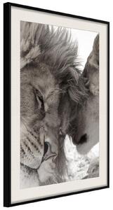 Inramad Poster / Tavla - Predatory Couple - 20x30 Guldram