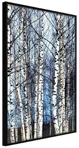 Inramad Poster / Tavla - Winter Birch Trees - 30x45 Guldram med passepartout