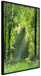 Inramad Poster / Tavla - Forest Path - 20x30 Guldram med passepartout