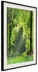 Inramad Poster / Tavla - Forest Path - 20x30 Svart ram