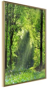Inramad Poster / Tavla - Forest Path - 20x30 Guldram
