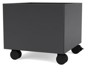 Montana - MINI PLAY BOX - Förvaringslåda för barn - Anthracite - W: 35 cm D: 35 cm H: 31.2 cm (incl. castors)