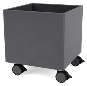Montana - Colour Box I – S6161 - With Wheels - Förvaringslådor - Coal - W35,4 X H37,8 X D35,4 cm