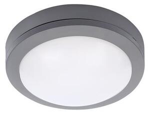 Brilagi - Utomhus LED taklampa LED/13W/230V IP54
