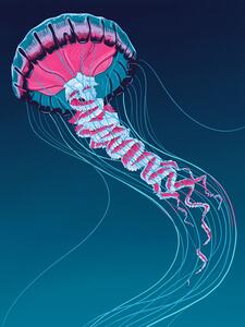 Illustration Lions Mane Jellyfish, Mark Harrison