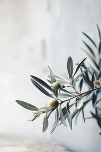 Konstfotografering Olives, Treechild, (26.7 x 40 cm)