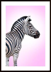 Pink Zebra Poster