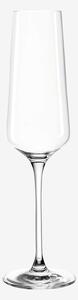 Leonardo - Champagneglas PUCCINI 6-pack - Transparent - Vinglas - Från Homeroom