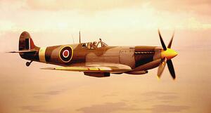 Fotografi Spitfire aircraft in flight (sepia tone), Michael Dunning, (40 x 22.5 cm)