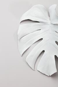 Konstfotografering Monstera White 01, Studio Collection, (26.7 x 40 cm)