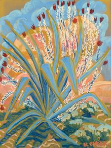 Illustration Field flower, Eleanor Baker, (30 x 40 cm)