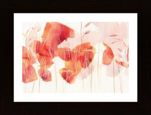 Modern Poppies Poster